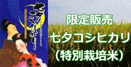 七夕コシヒカリ 七夕コシヒカリ