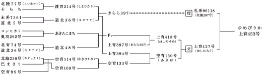 北海道ゆめぴりか