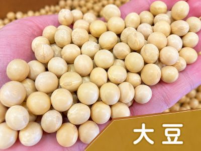 大豆（鶴娘）