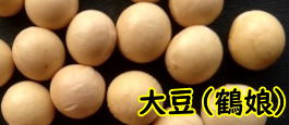 北海道　大豆（鶴娘）