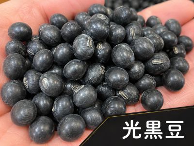 光黒豆