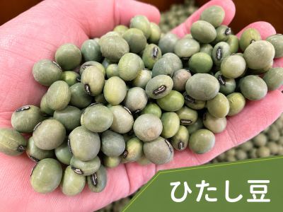 山形県産 ひたし豆（青大豆） 東北の郷土料理