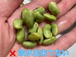 ひたし豆 完成写真 だしつゆ仕立て