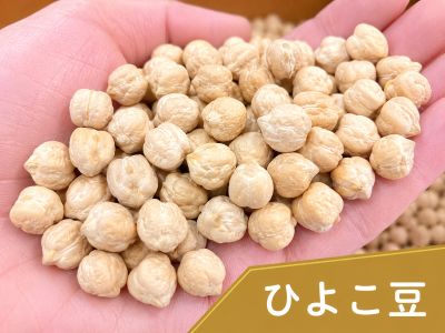 ひよこ豆(ガルバンゾ)