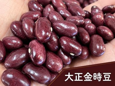 大正金時豆