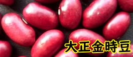 北海道　大正金時豆