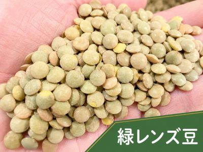 緑レンズ豆