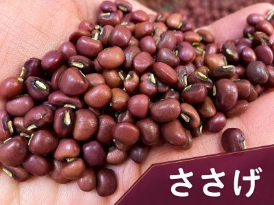 備中ささげ