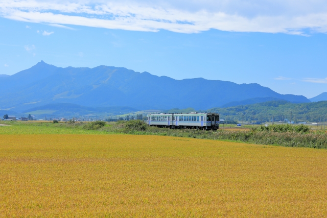 新潟県産 新之助 商品