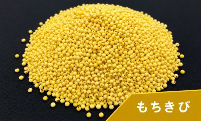 餅きび（もちきび）国産