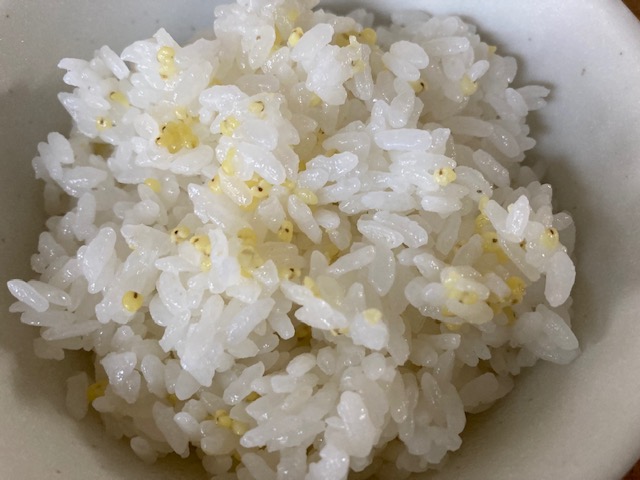 餅きび（もちきび）炊き上がり ほんのり黄色く色鮮やか