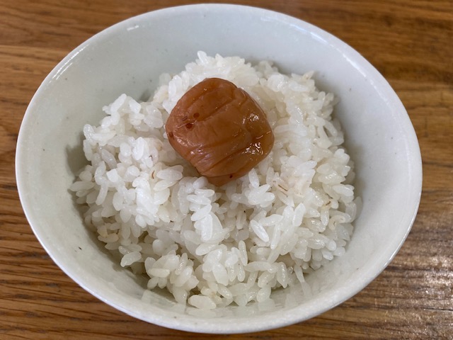 米粒麦（大麦）粒のアップ