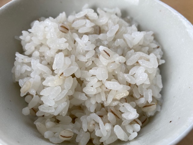 丸麦 粒のアップ