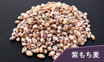 紫もち麦（ダイシモチ）国産
