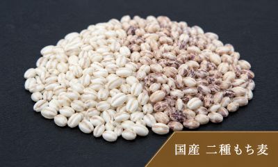 国産二種もち麦（白もち麦・紫もち麦）
