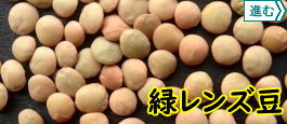 緑レンズ豆
